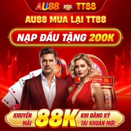 banner mb tt88